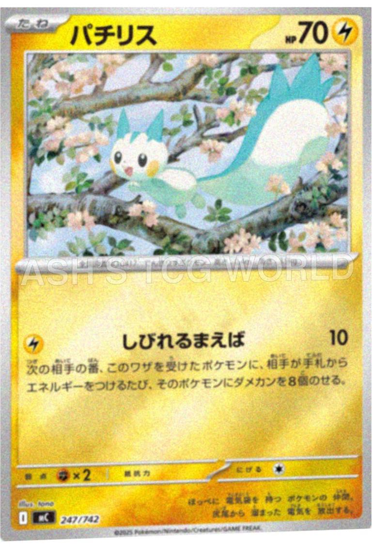 Pachirisu